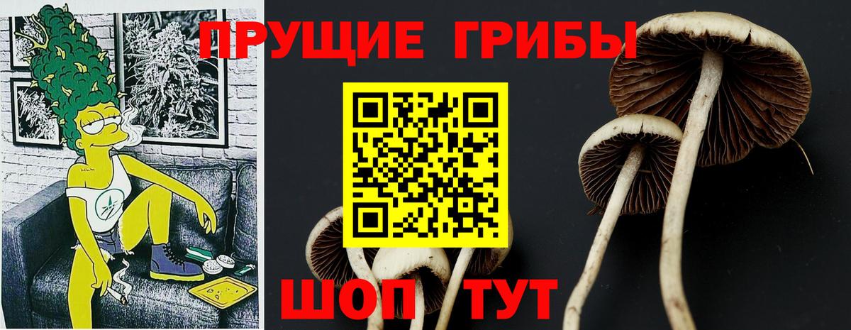 Ярцево  Галлюциногенные грибы MAGIC MUSHROOMS  Галлюциногенные грибы Cubensis  Вход с VPN 